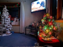 Quiet snowy night at the lake