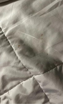 On comforter after cleaning them.