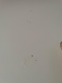 mold