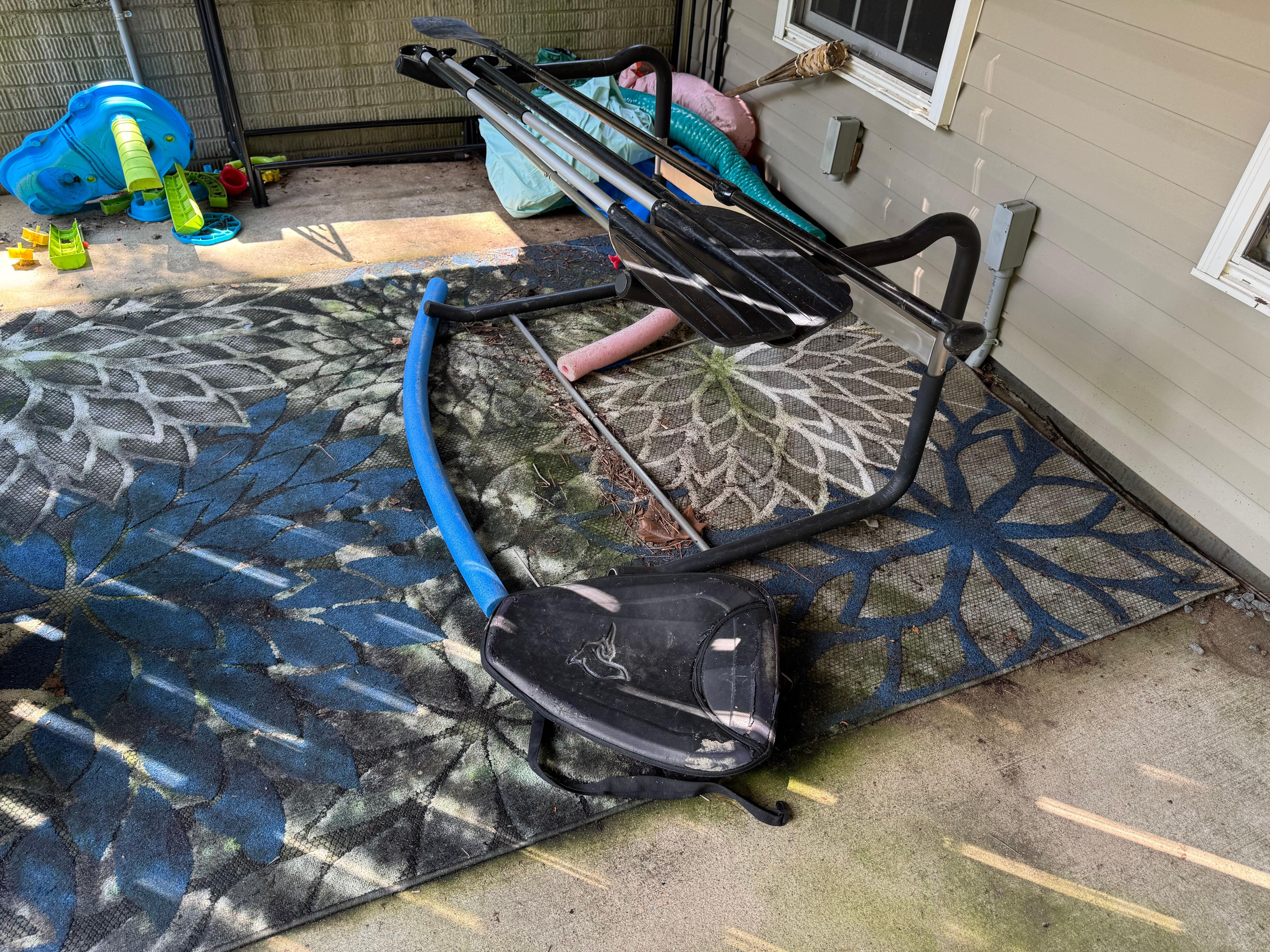 Dirty moldy carpet. Dirt piles. Siding dirty. Lack of outdoor maintenance