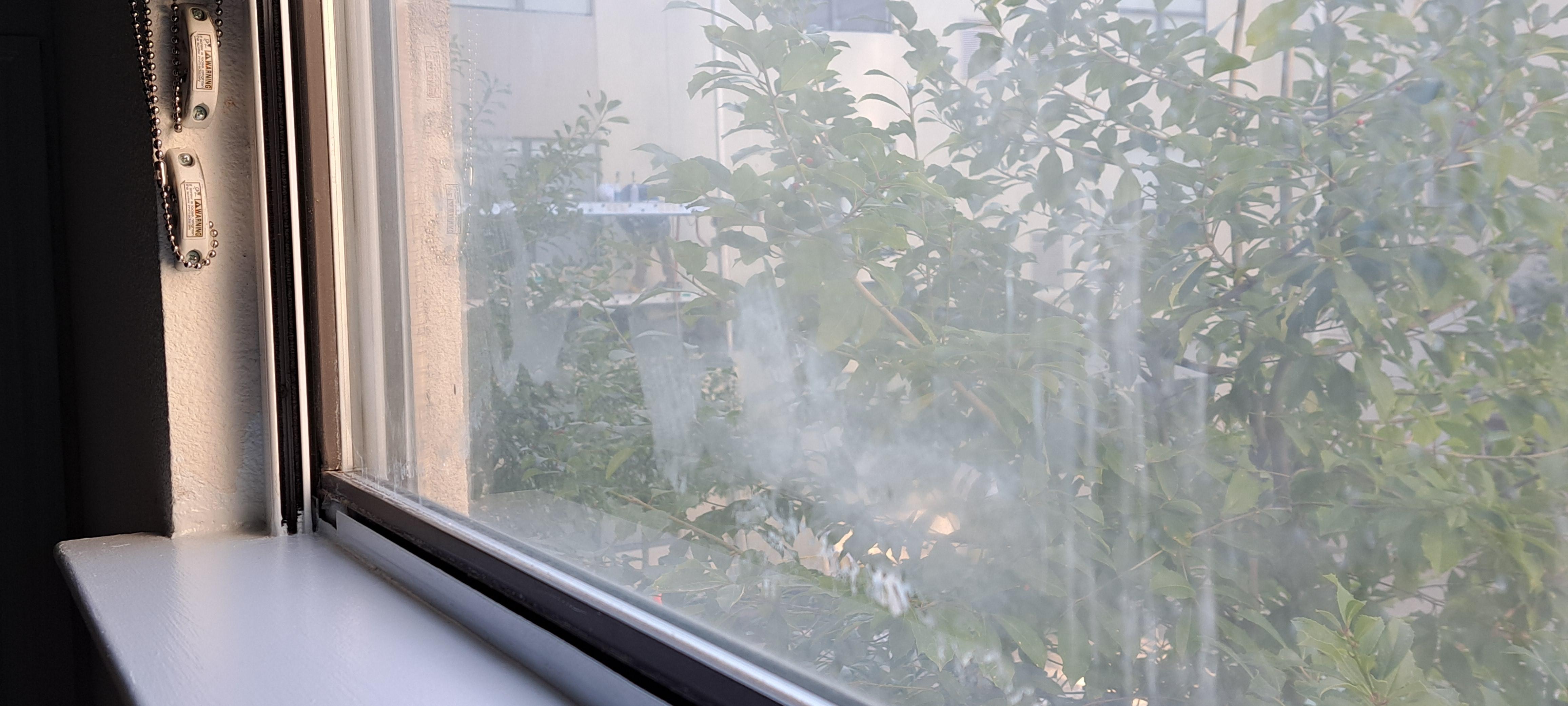 That's a picture out the hideously dirty room window of workers yelling and waking me up at 8:15am at the inaccessible pool area. There was also no food during "happy hour" a big sign in the lobby stated there was.