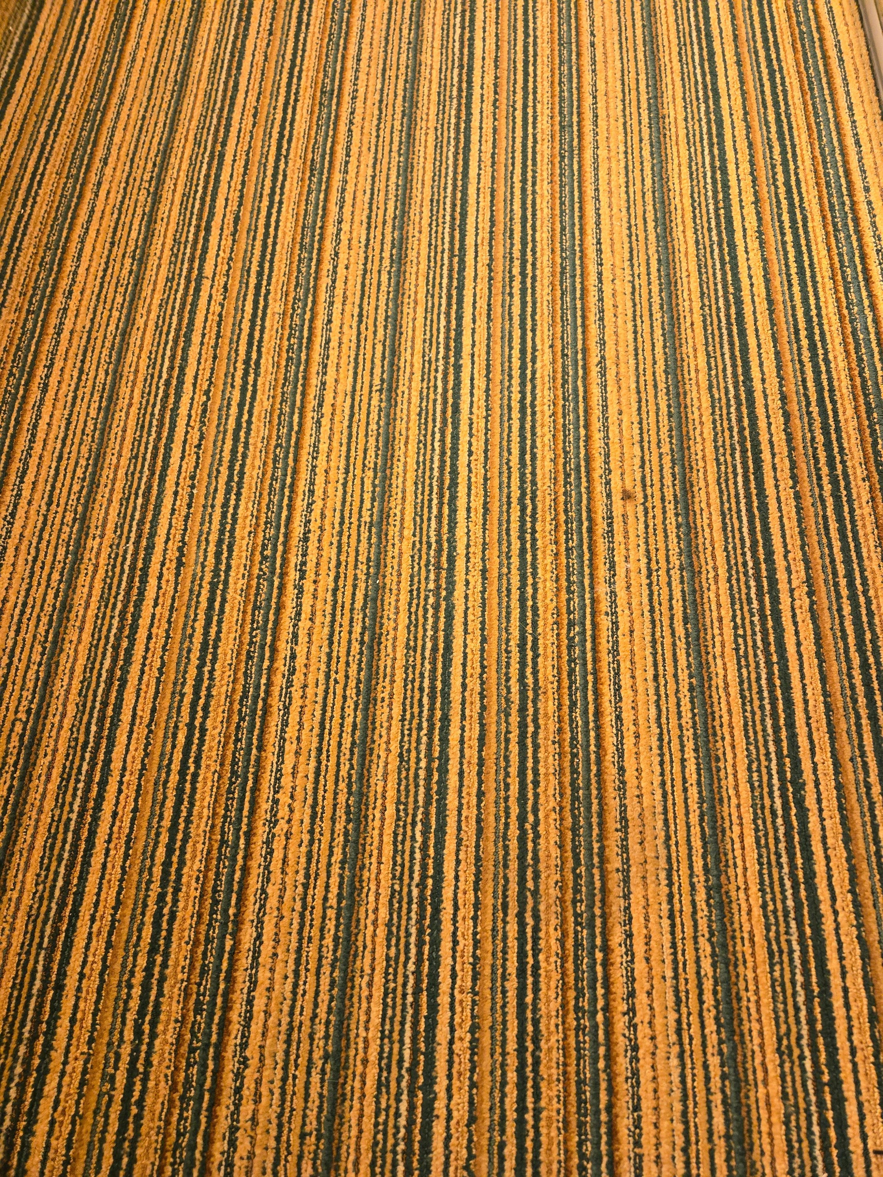 Stain carpet