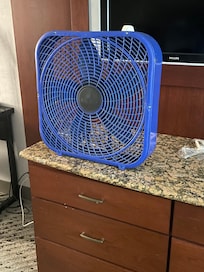 The only fan in the whole place
