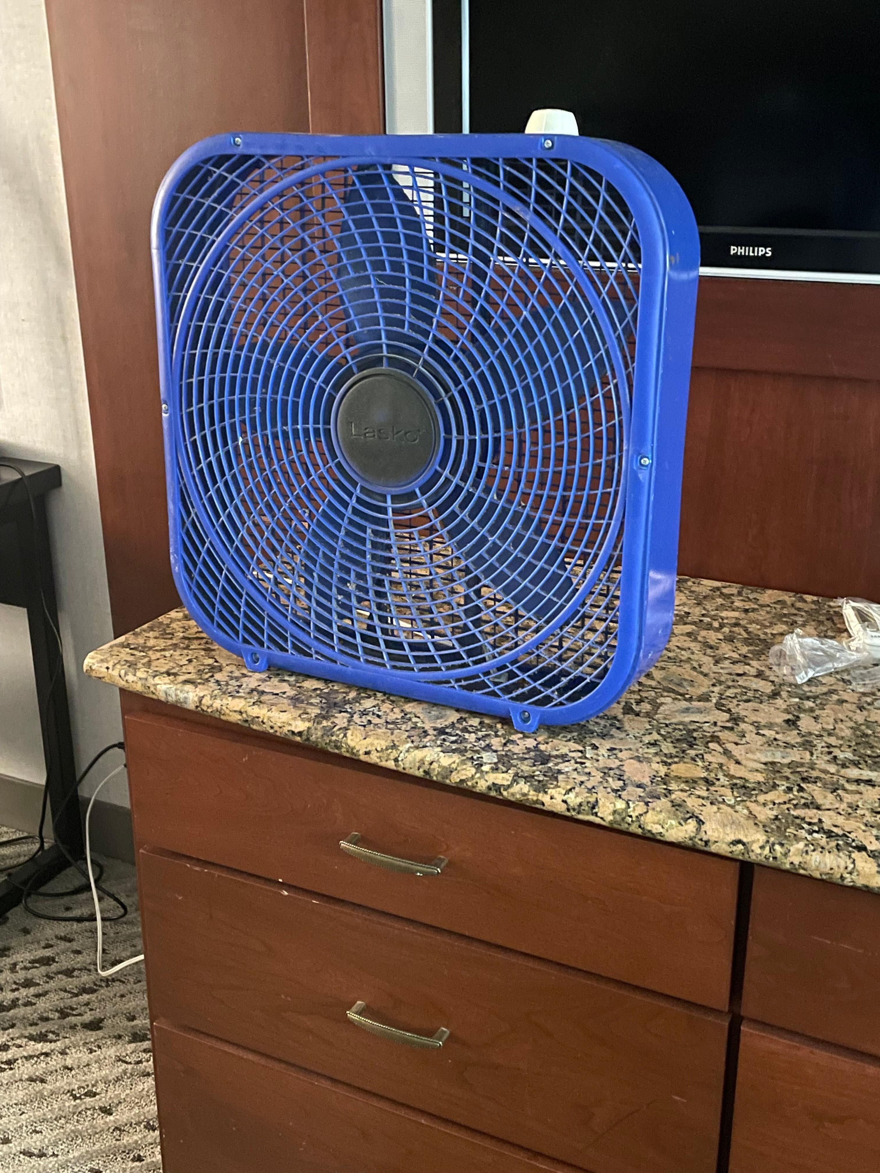 The only fan in the whole place 