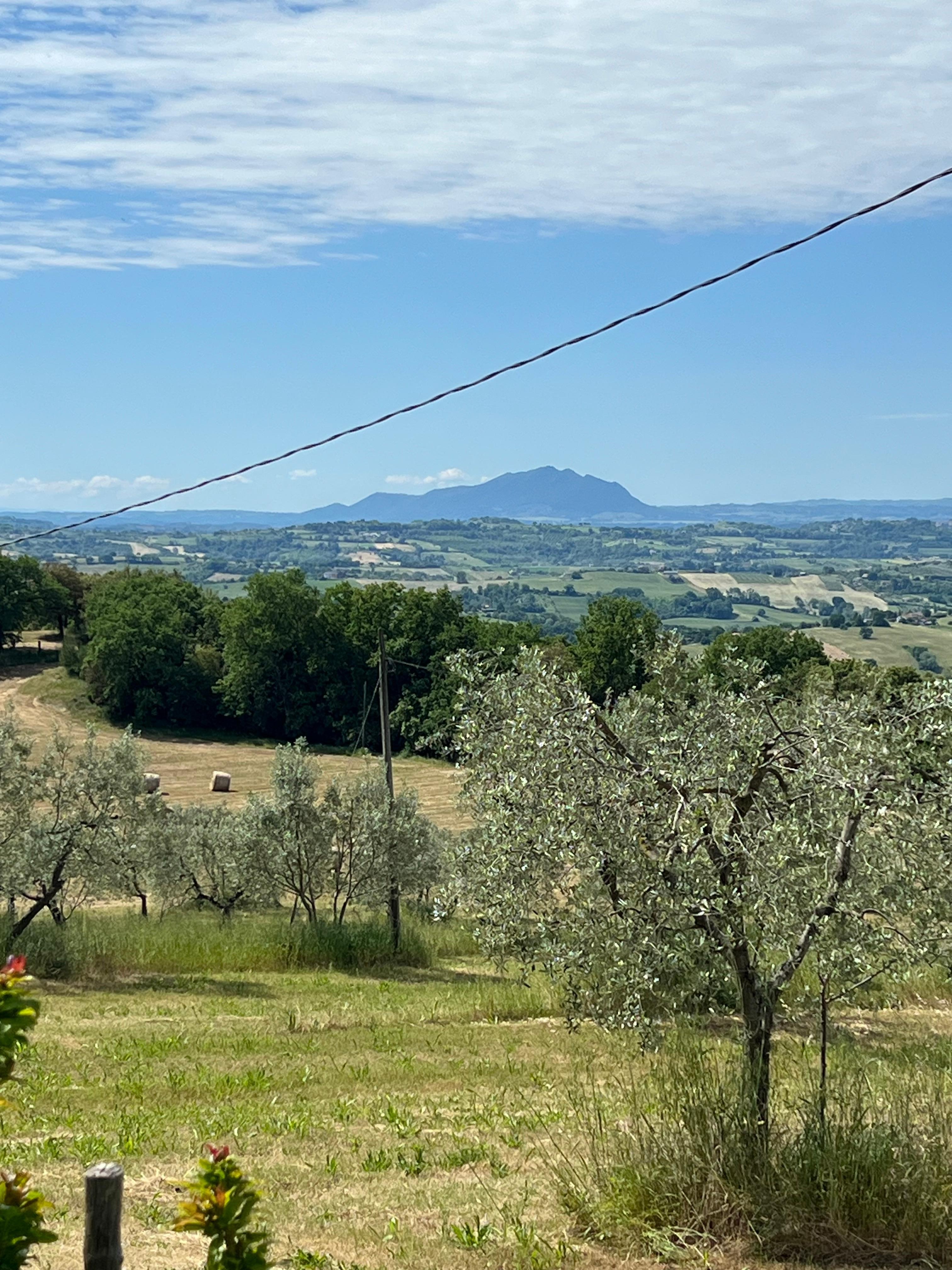 the view from the property