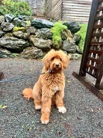 She did NOT want to leave