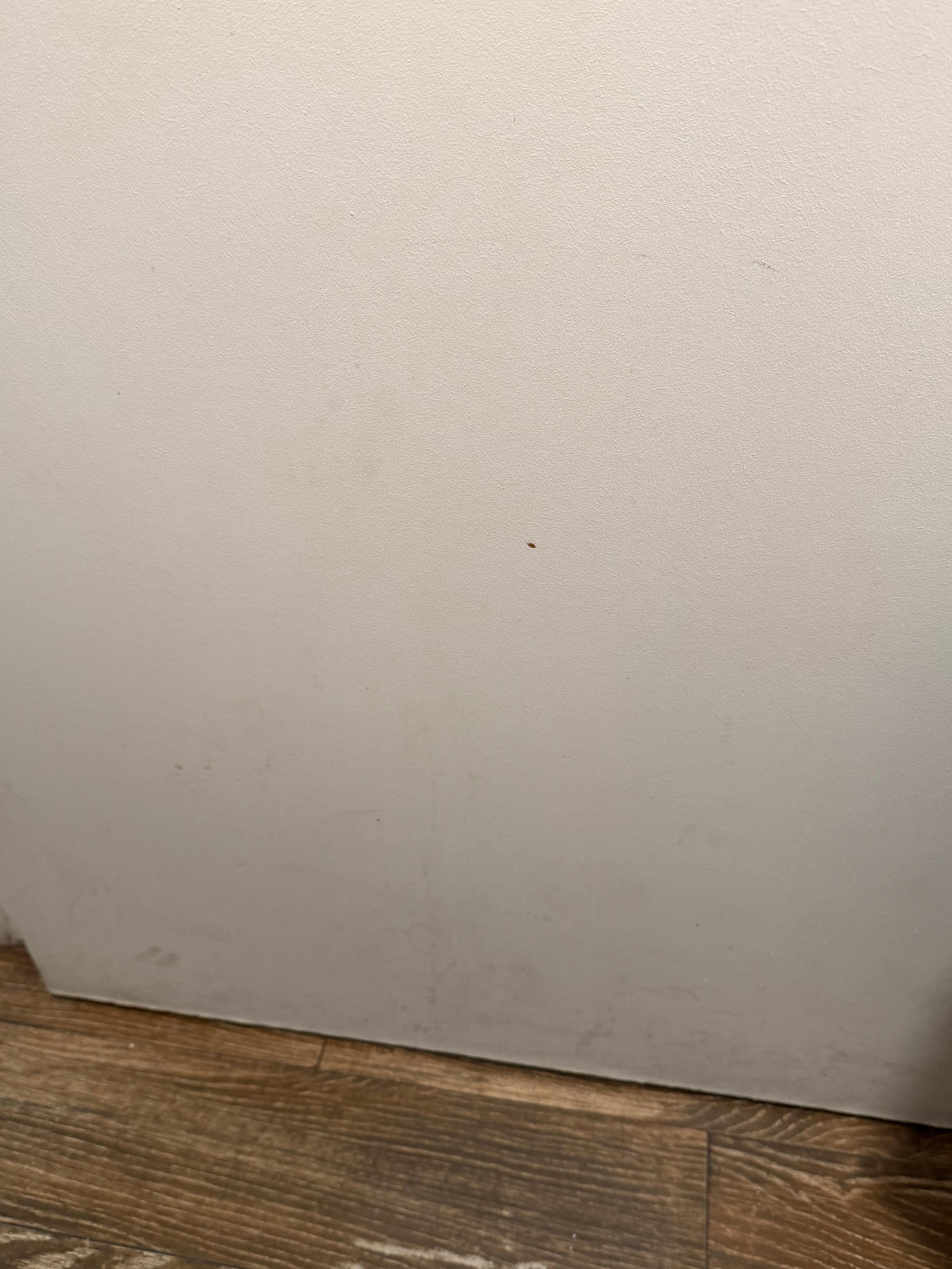 Dirty walls and floors