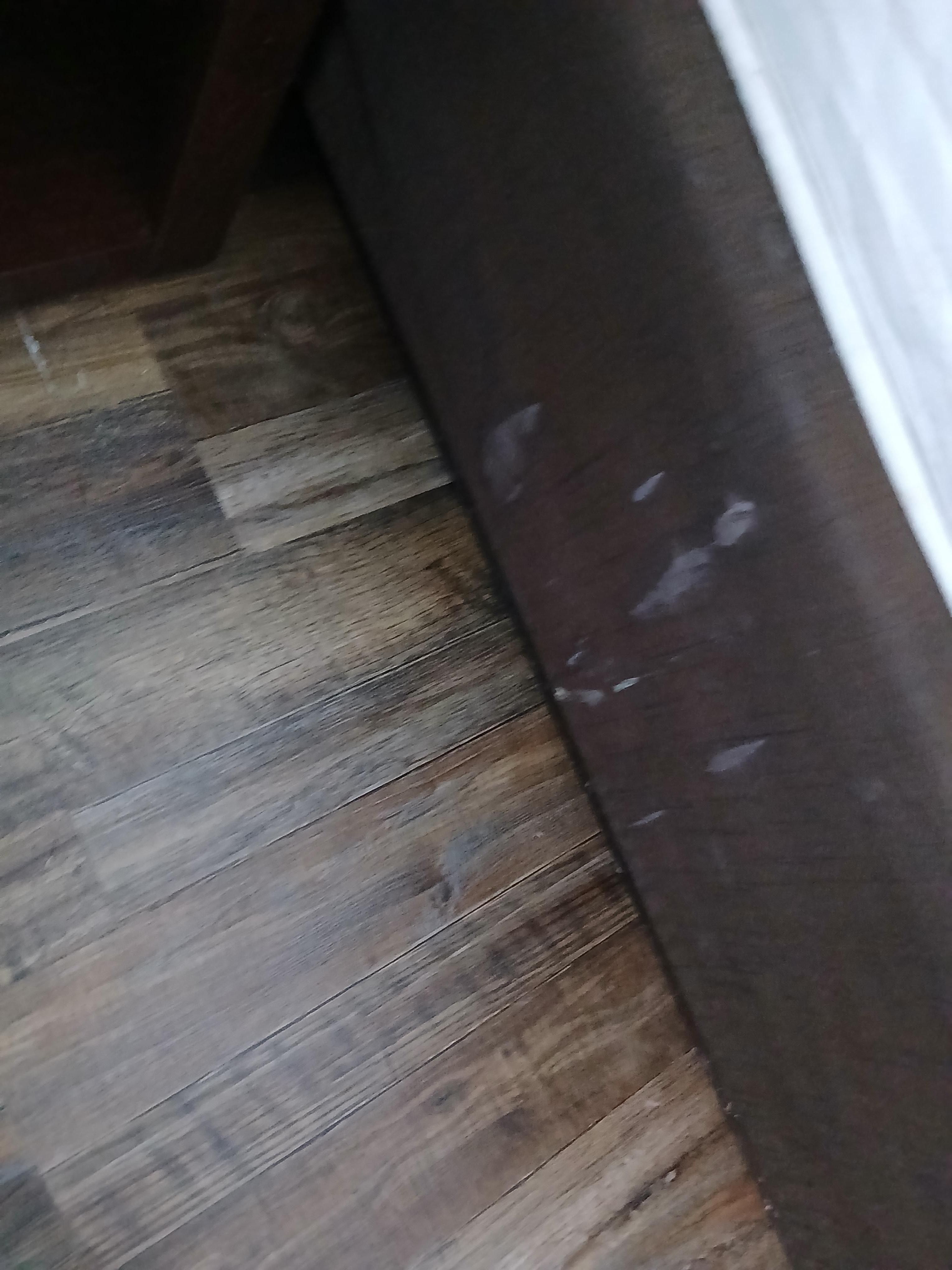 Was not cleaned and was dirty upon arrival