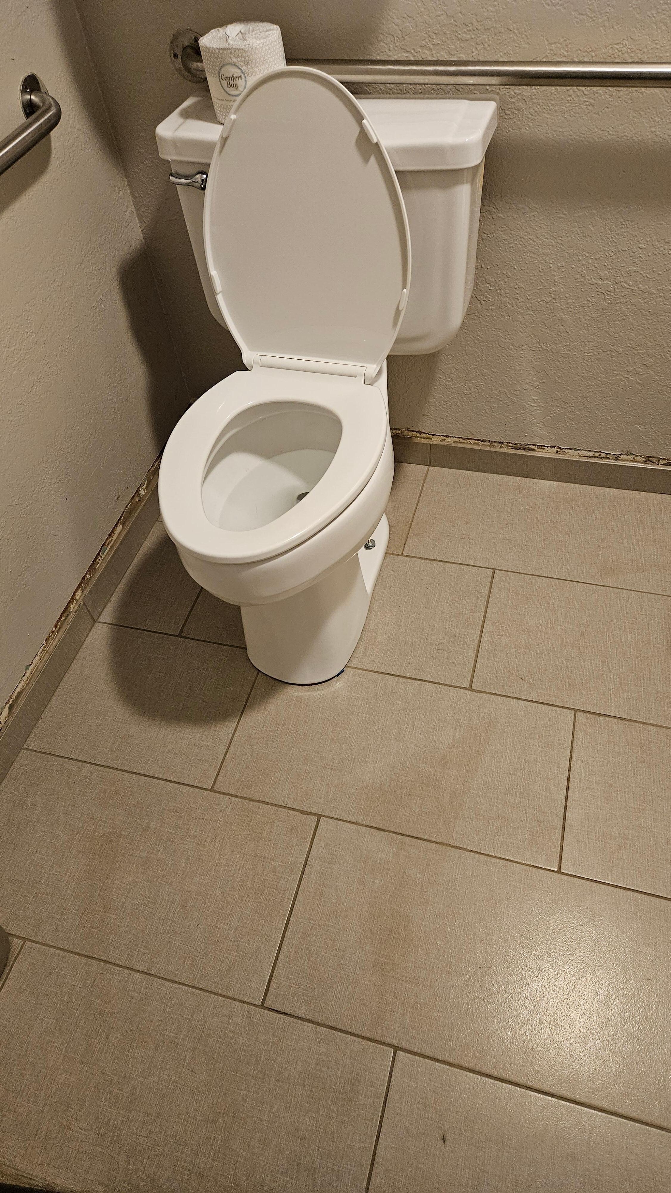 Moldy bathroom