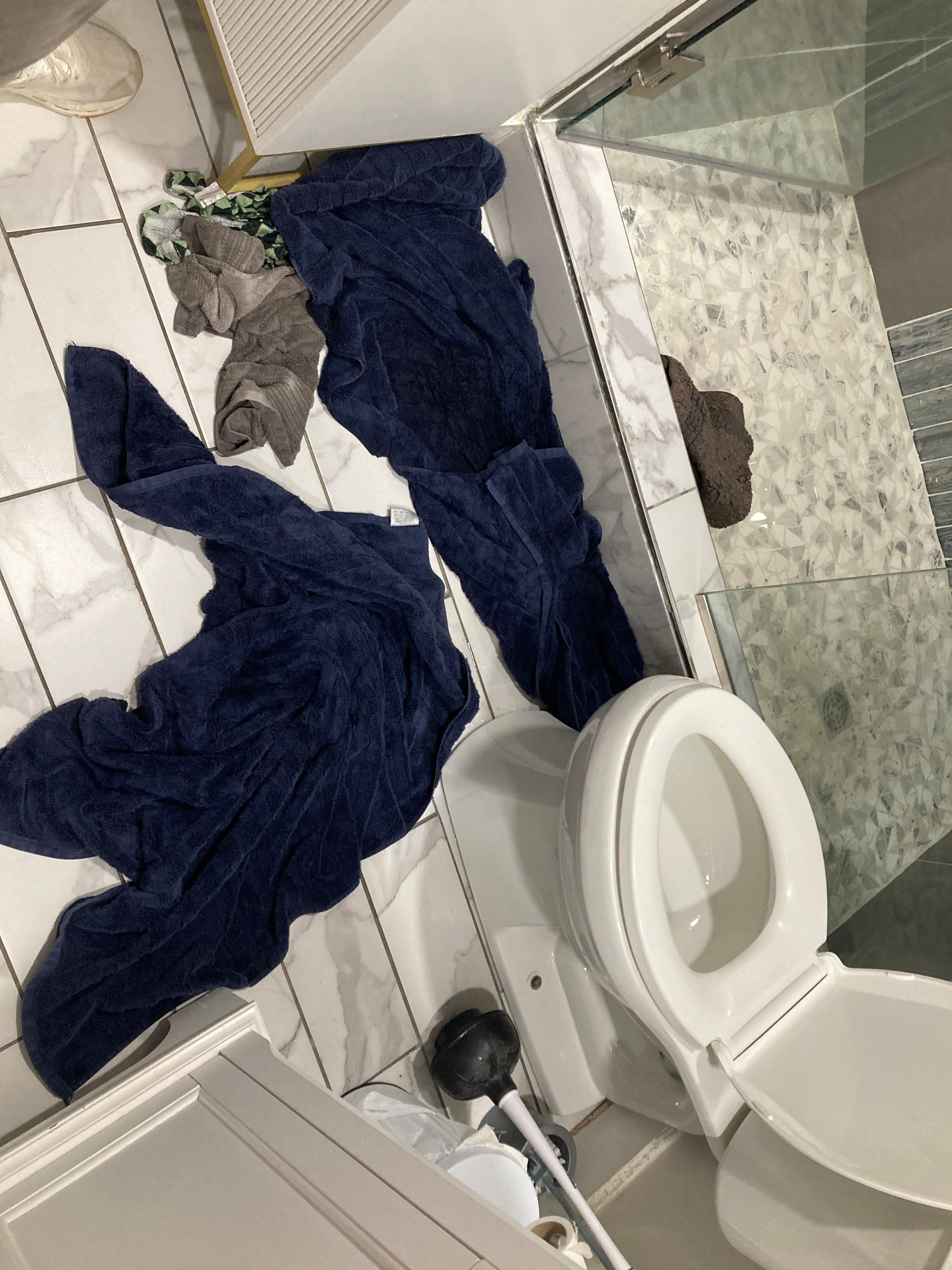 Toilet that overflowed while I was washing clothes. No one had used the toilet to make it overflow. 