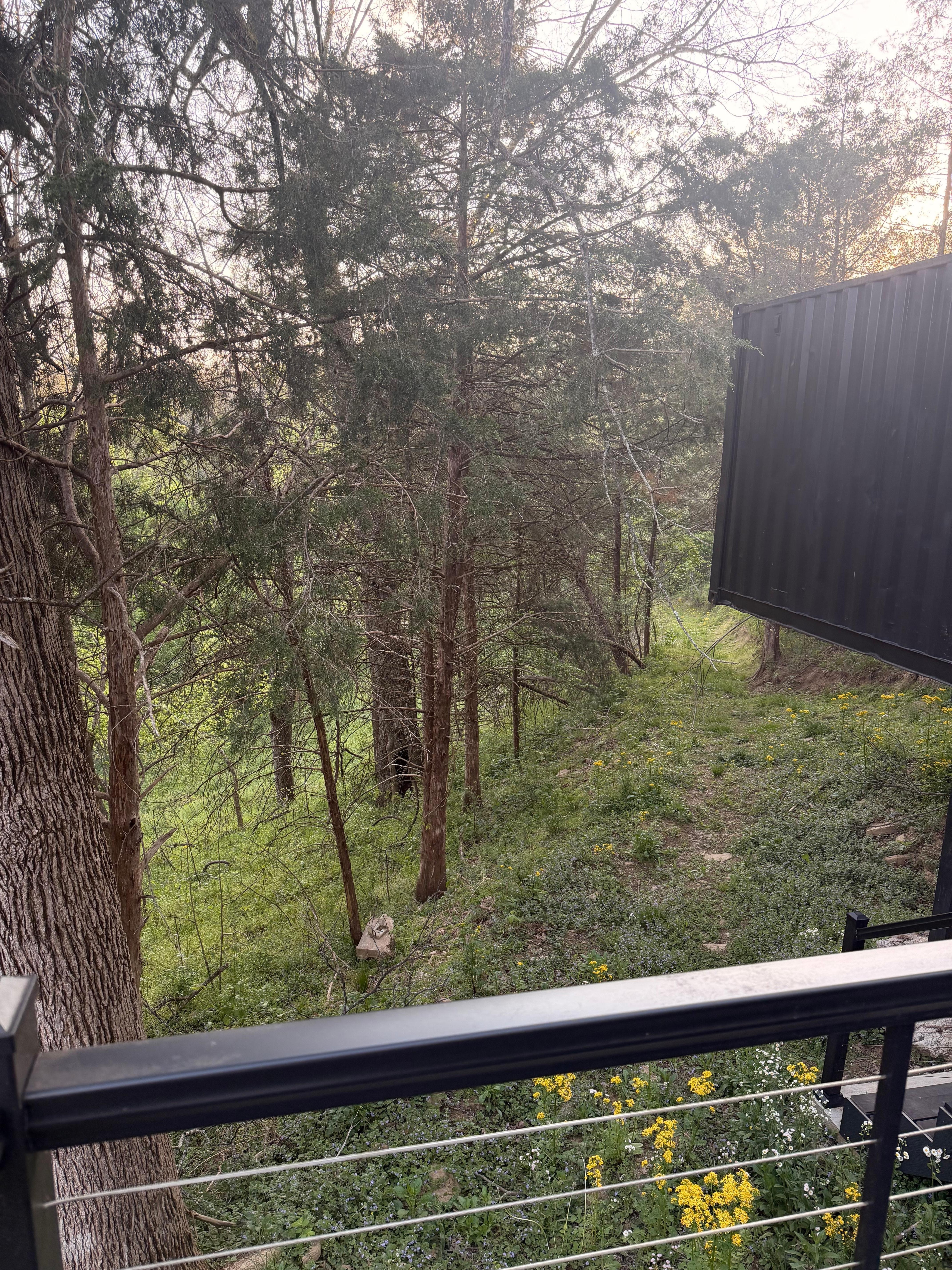 From the deck!
