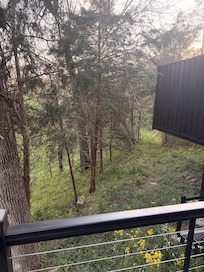 From the deck!