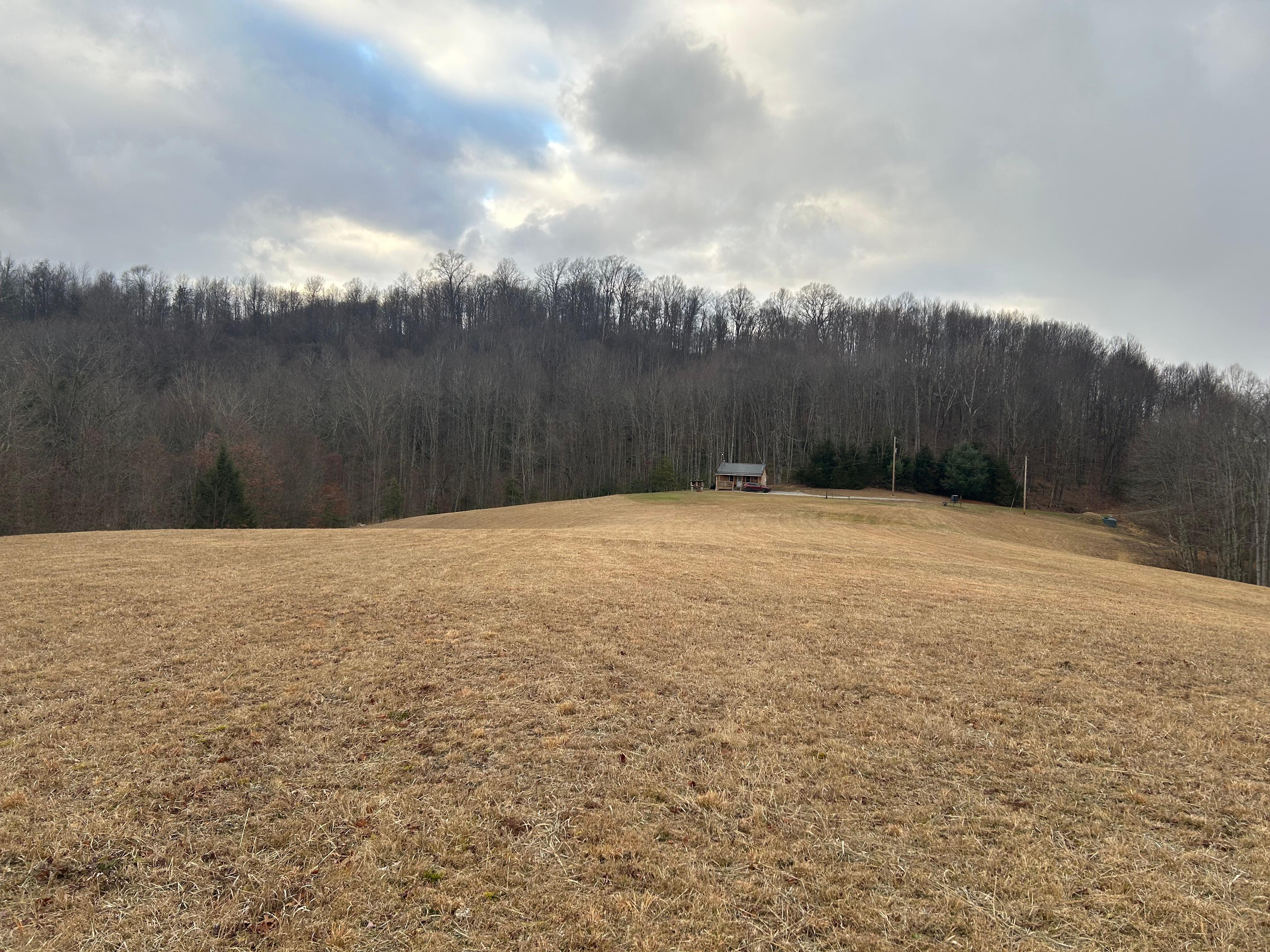 View from front of cabin.