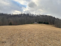 View from front of cabin.