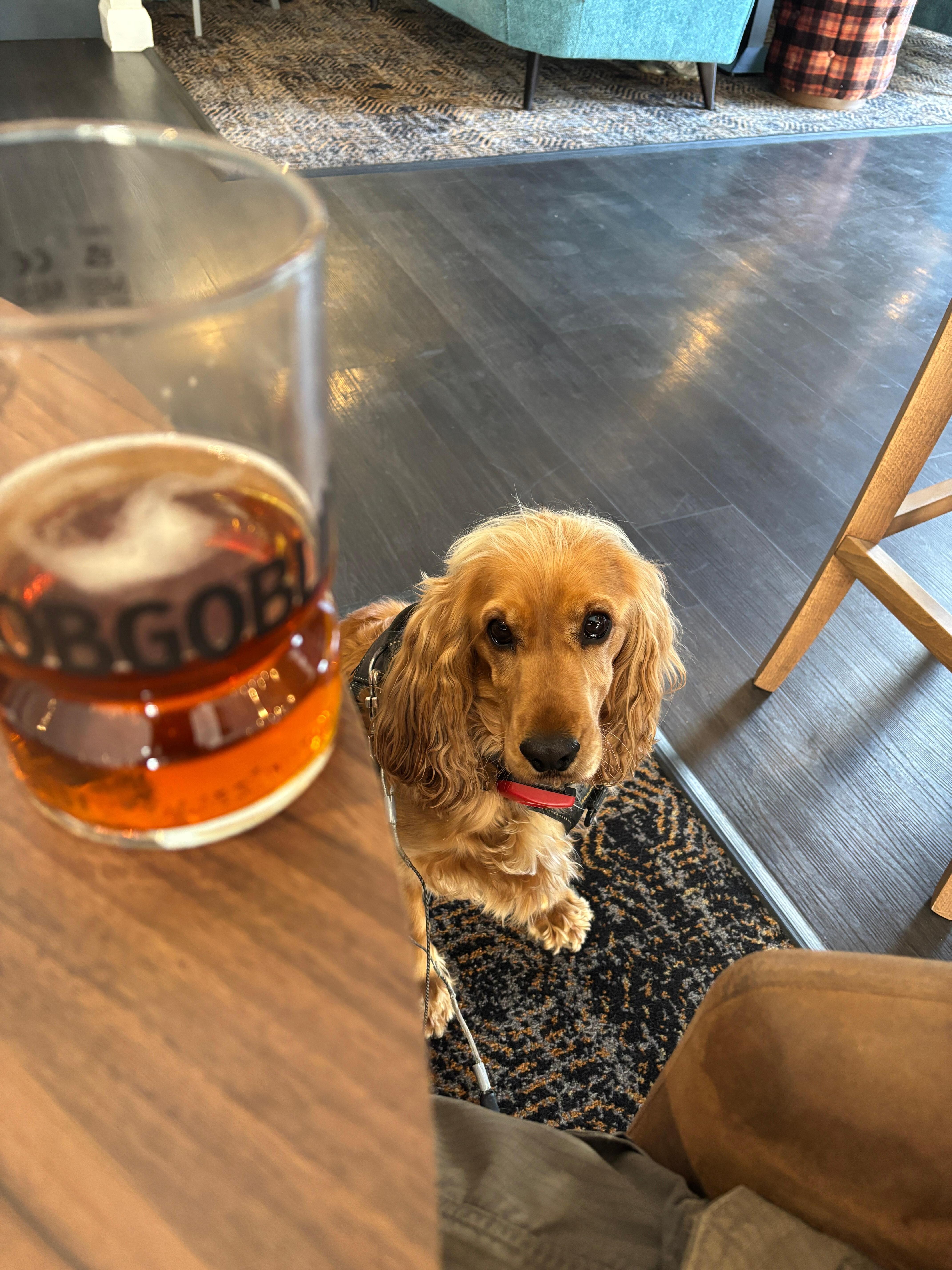 No the beer isn’t for you. 