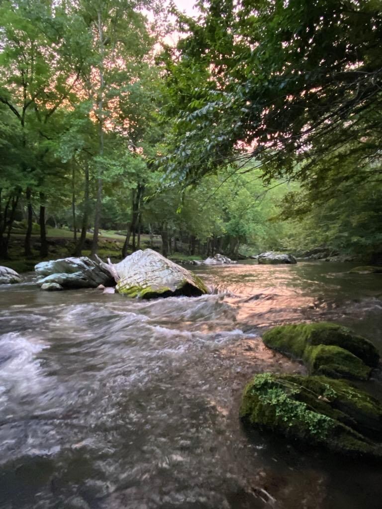 The river at sunset