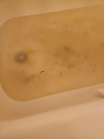 Gross!!!!!!