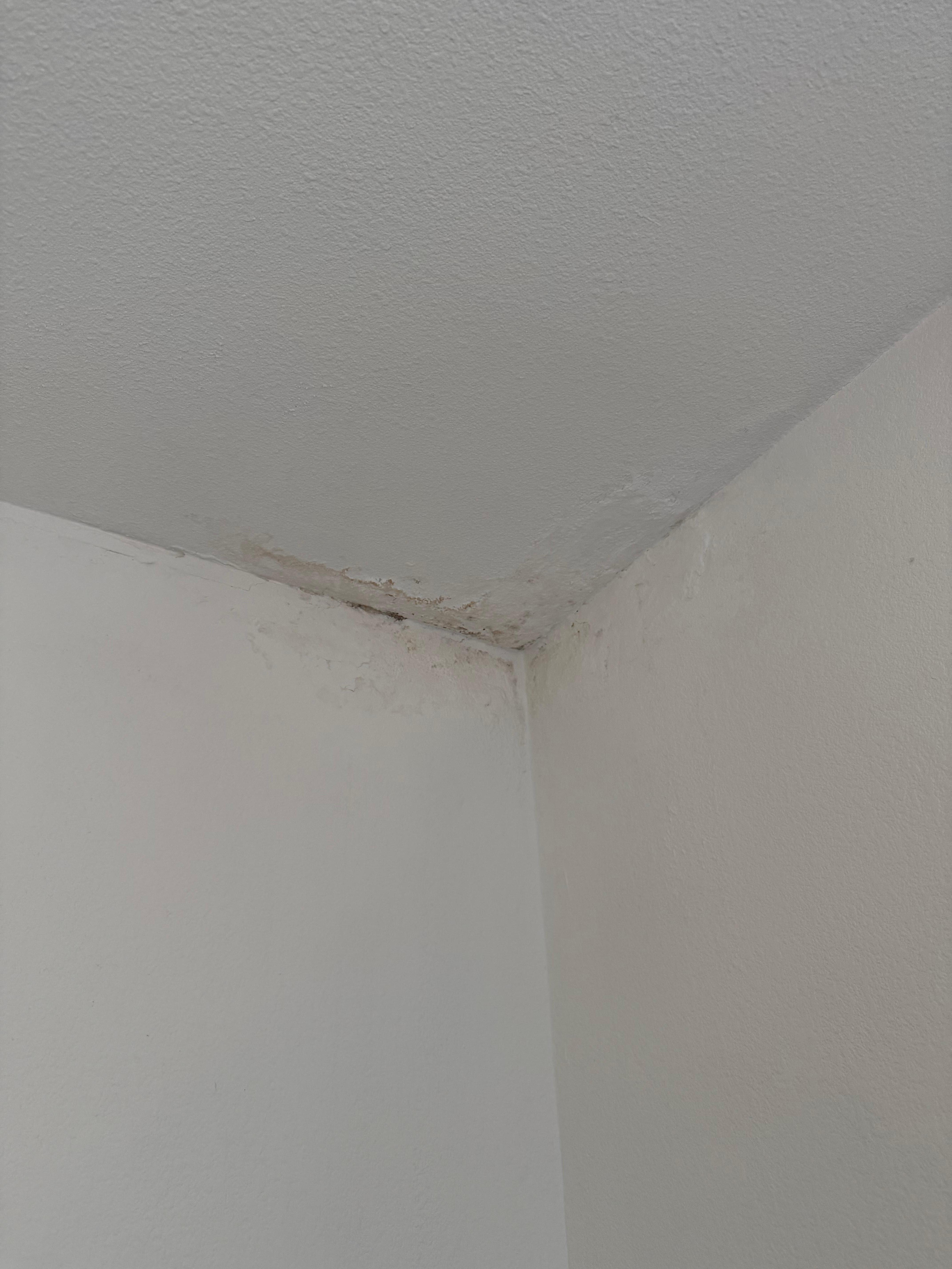 Wasserschaden im Schlafbereich