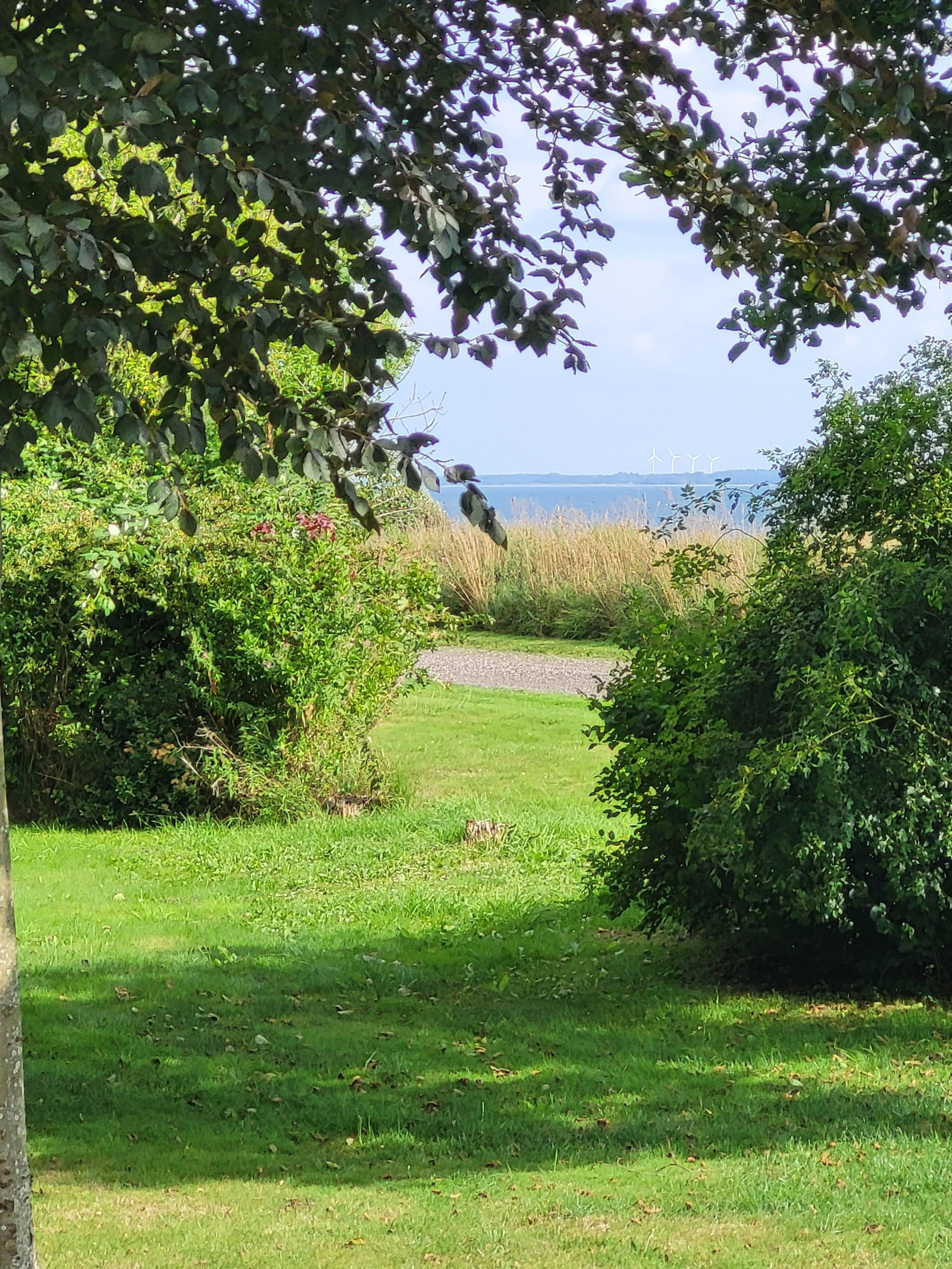 Blick von der Terrasse 