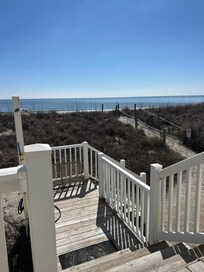 watching dolphins with our morning coffee