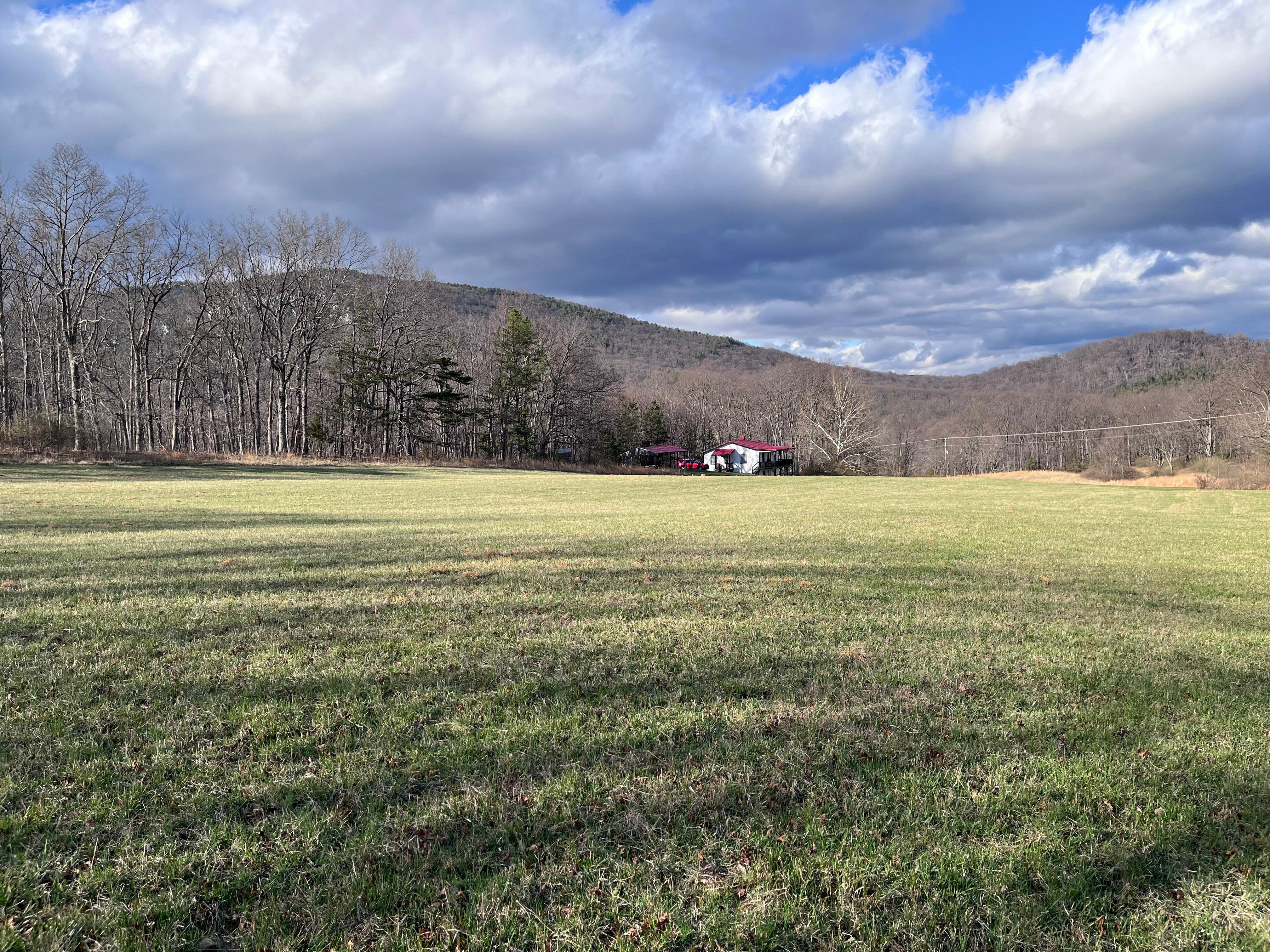 One side of the property. The other side is double/triple this space. Lots of room to roam. 