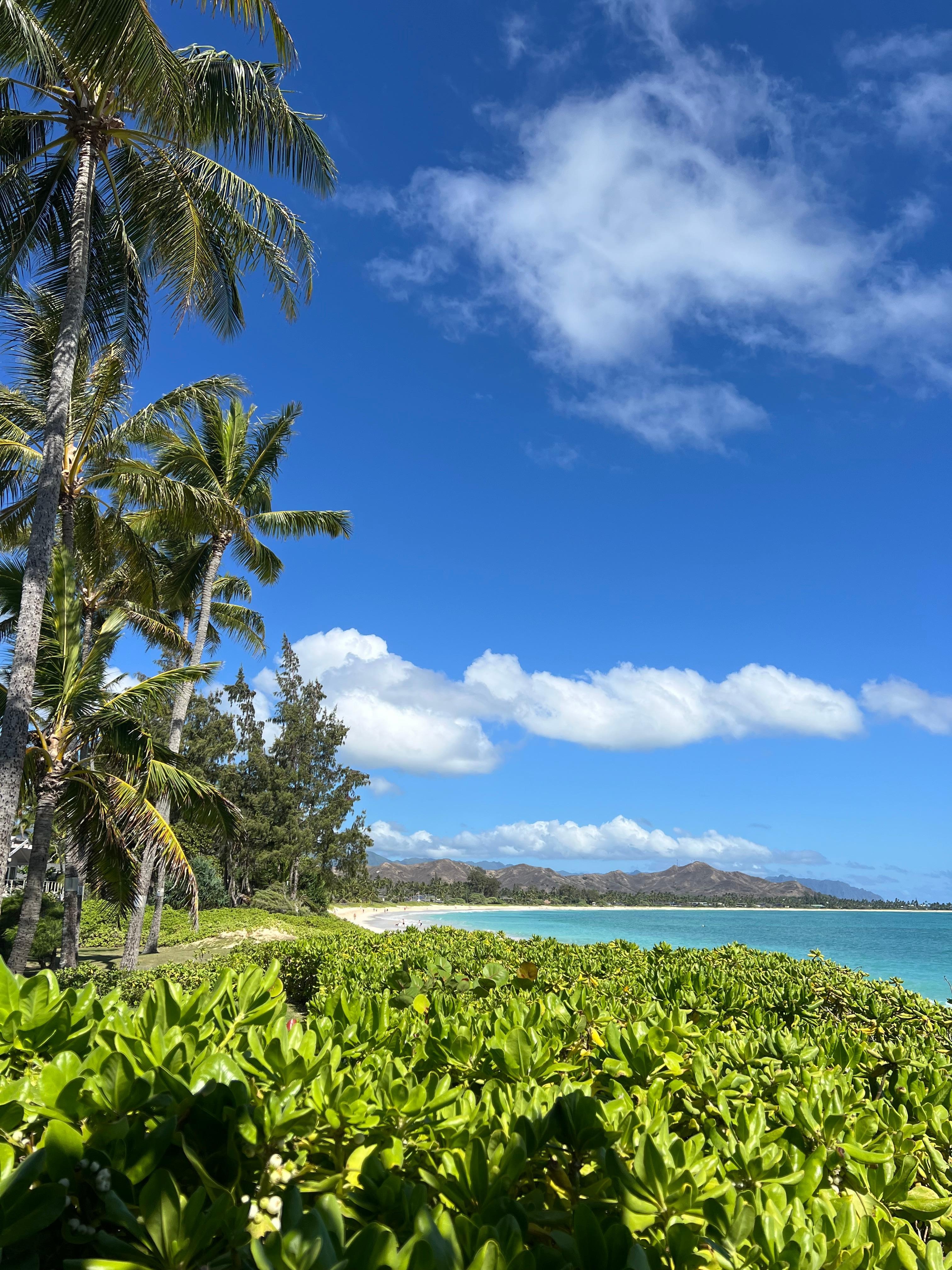 Views from the private beach path