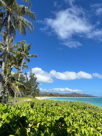 Views from the private beach path