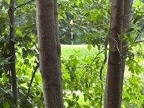 Golf course view 1