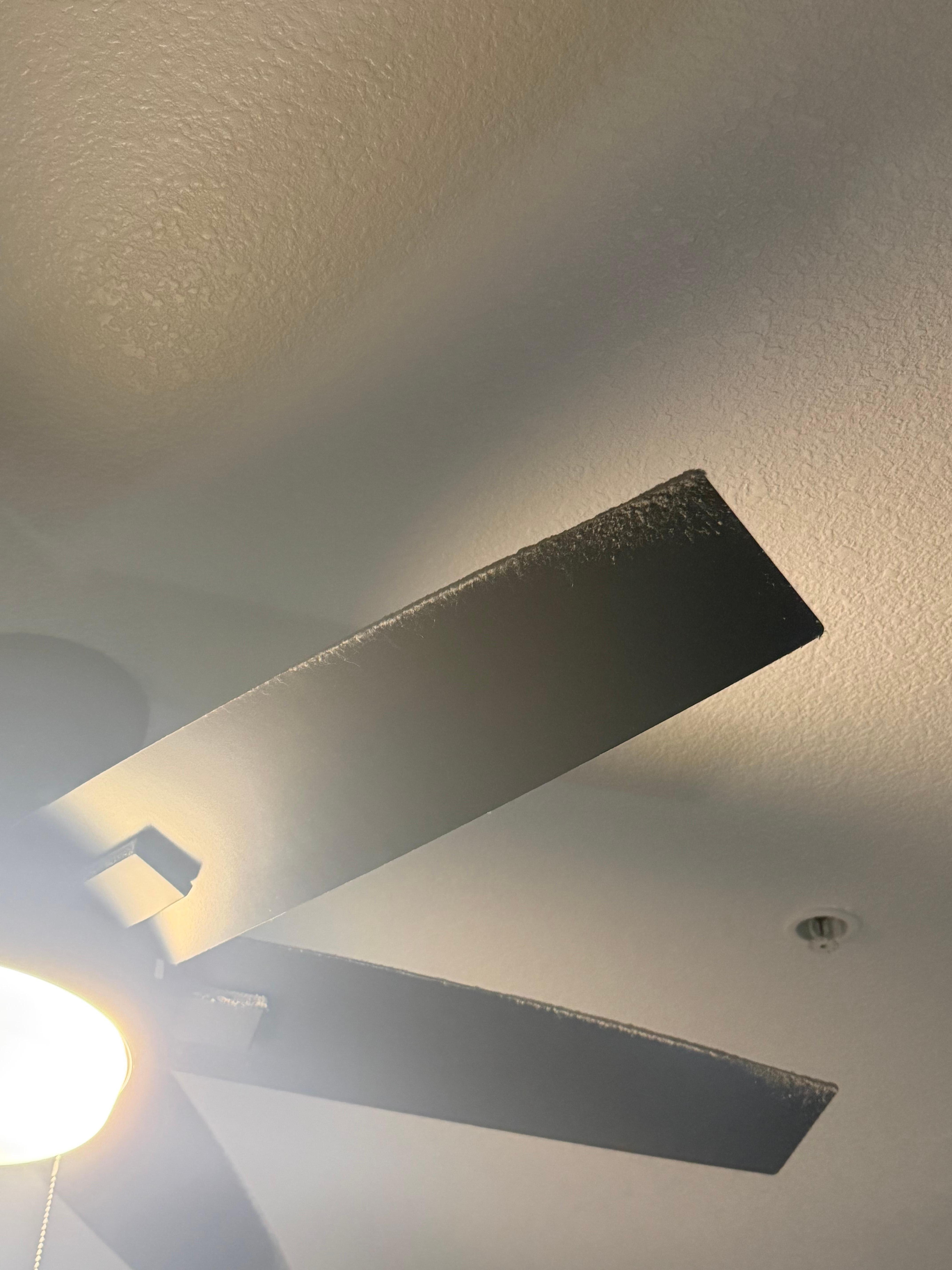 Dust covering the fan blades