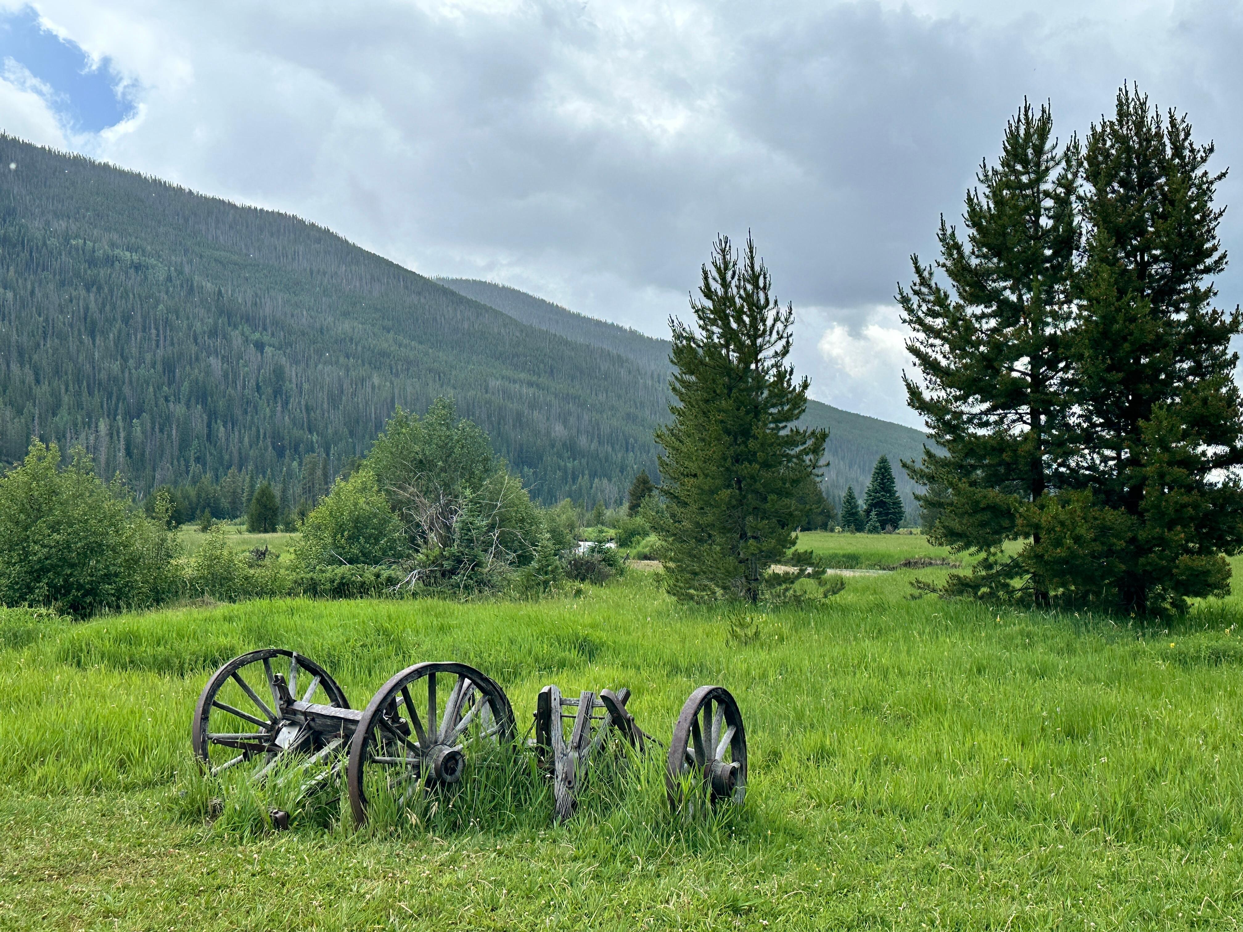 CO river area in park