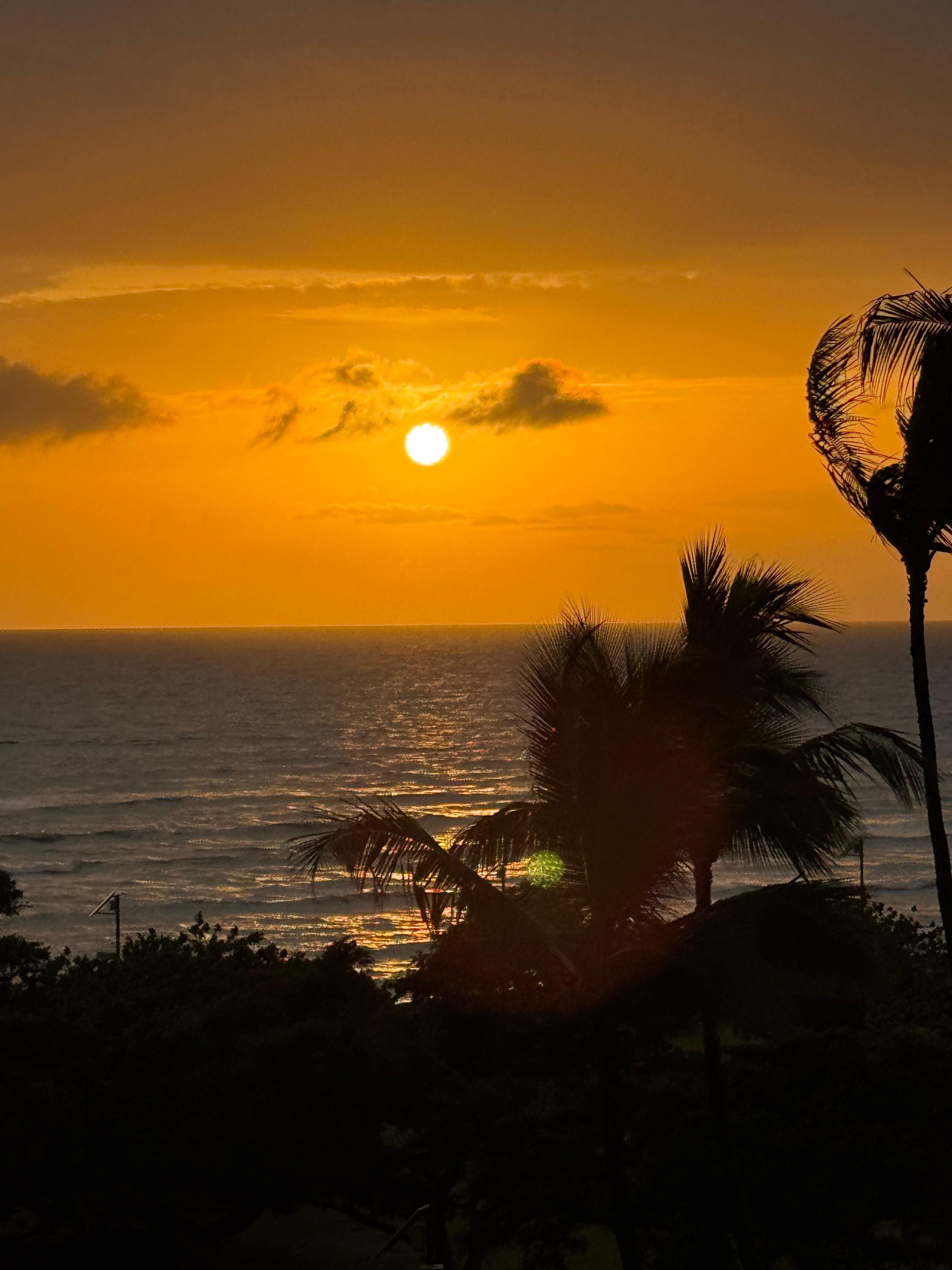 Beautiful sunset from the balcony. 