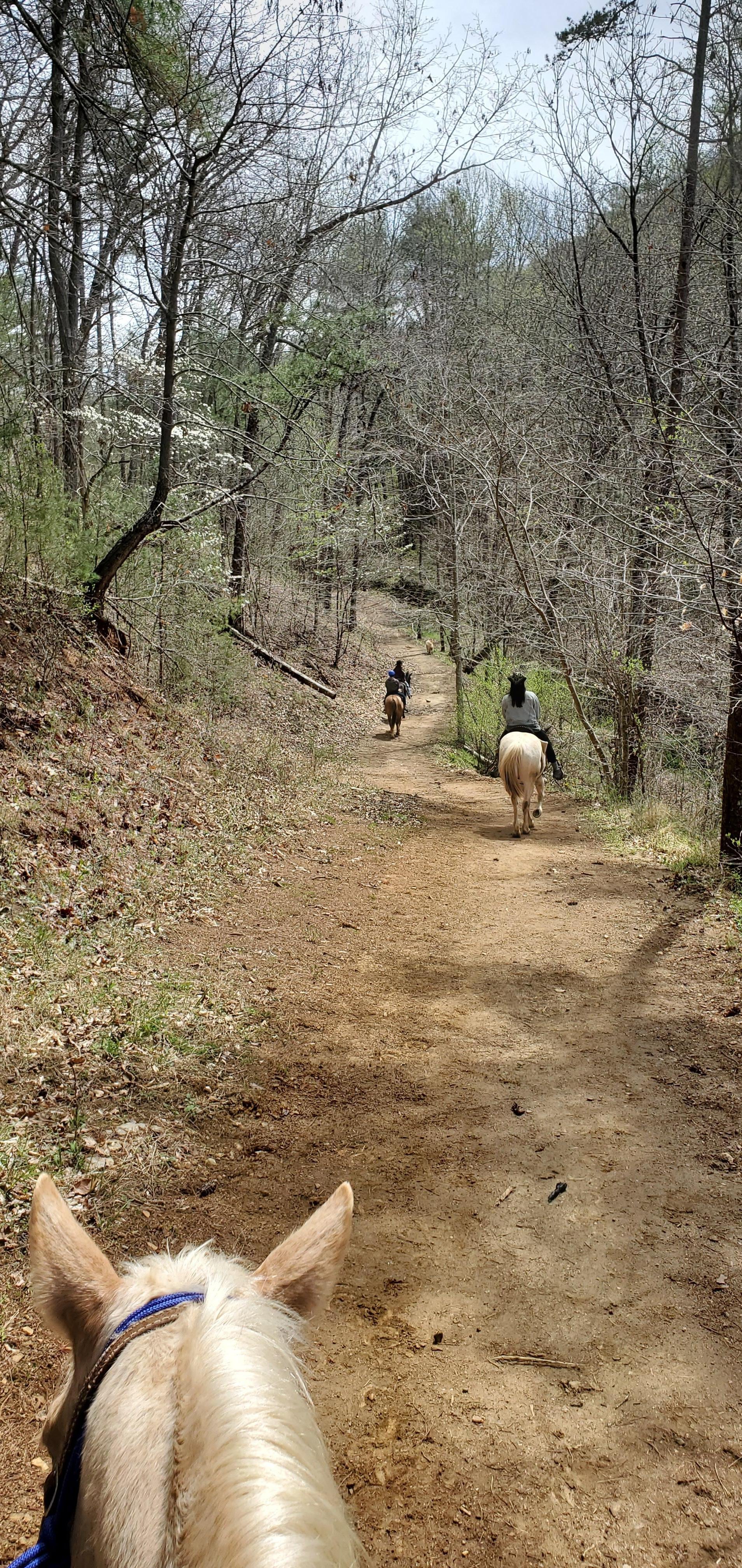 Sandy Bottom Trail rides