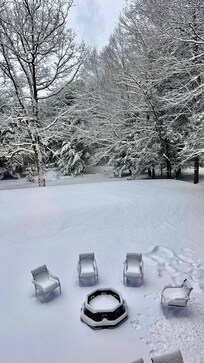 A view of the backyard from the living room.