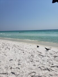 View from beach chair.