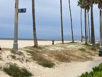 View from back patio