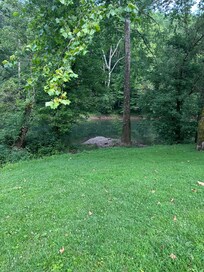 Backyard view