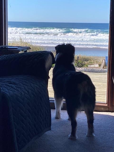 Mia checking out the views