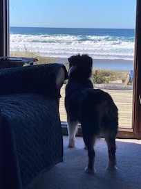 Mia checking out the views