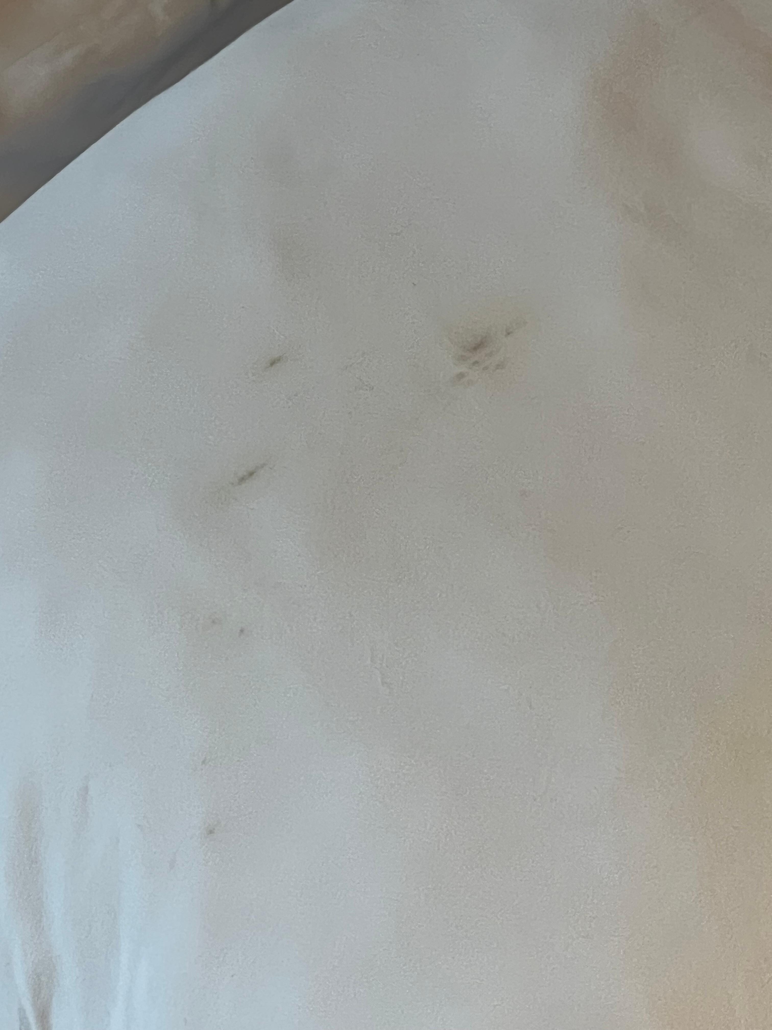 Stained pillow cover looks at gross and doesn’t feel good to sleep on this…. Anything stained should be thrown away. 