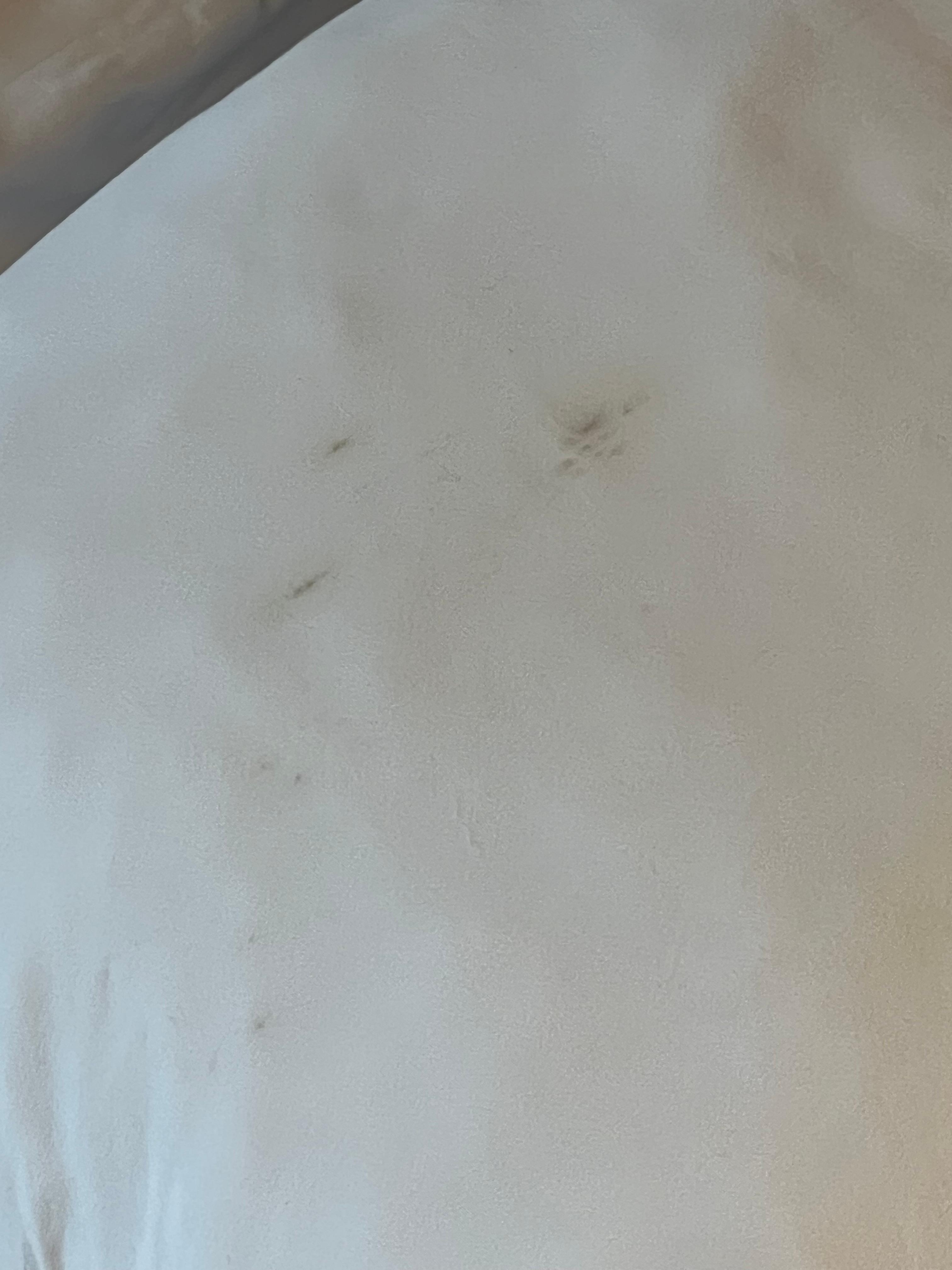 Stained pillow cover looks at gross and doesn’t feel good to sleep on this…. Anything stained should be thrown away.