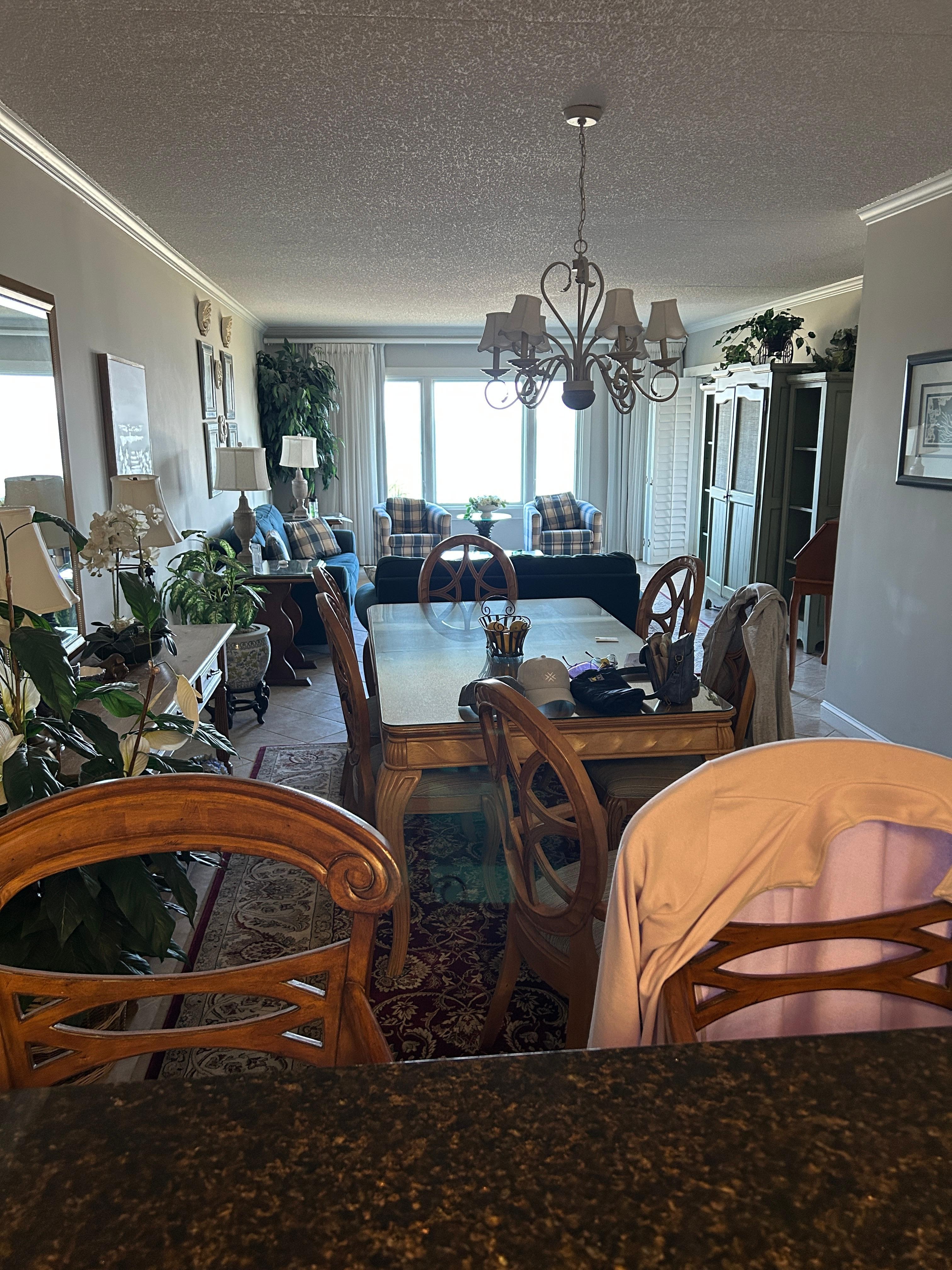  View from the kitchen 