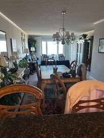 View from the kitchen