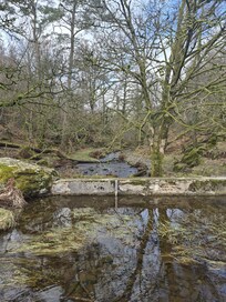 One of our many walks