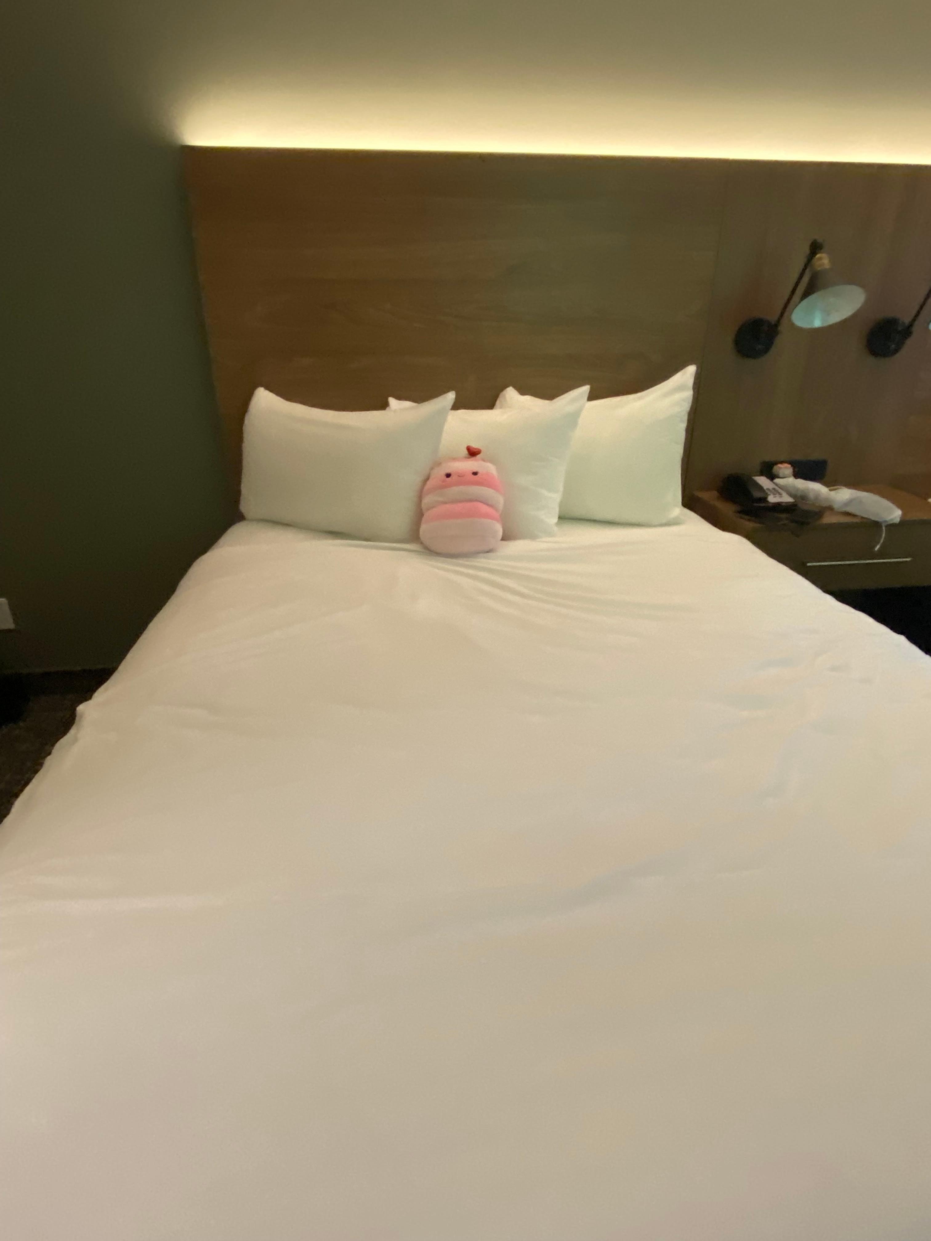 Soft pillow and well air-conditioned room 💖