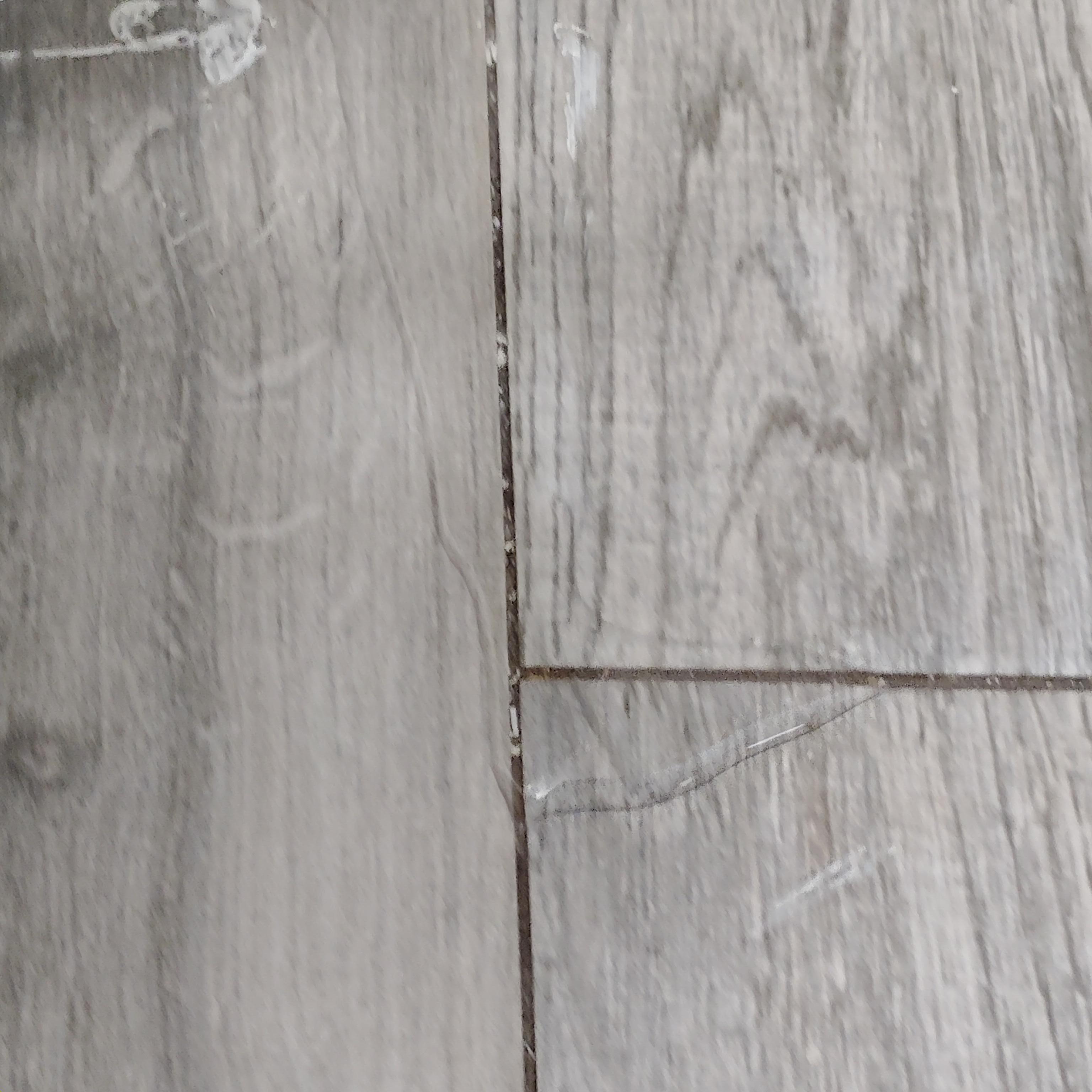 Toilet leaked when flushed 