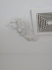 Mold on the bathroom ceiling