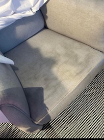 Possibly dog stains