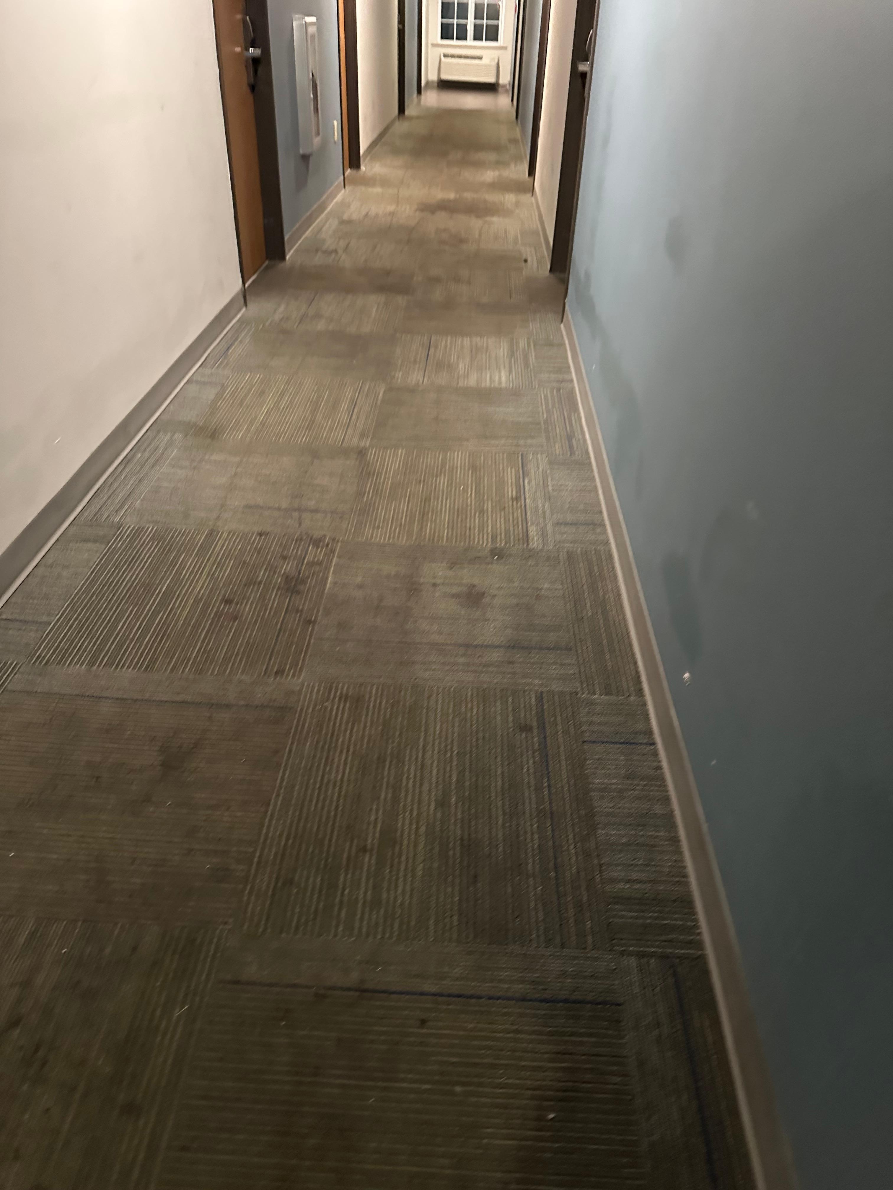 Dirty Hallway