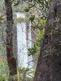 Spectacular Fitzroy Falls