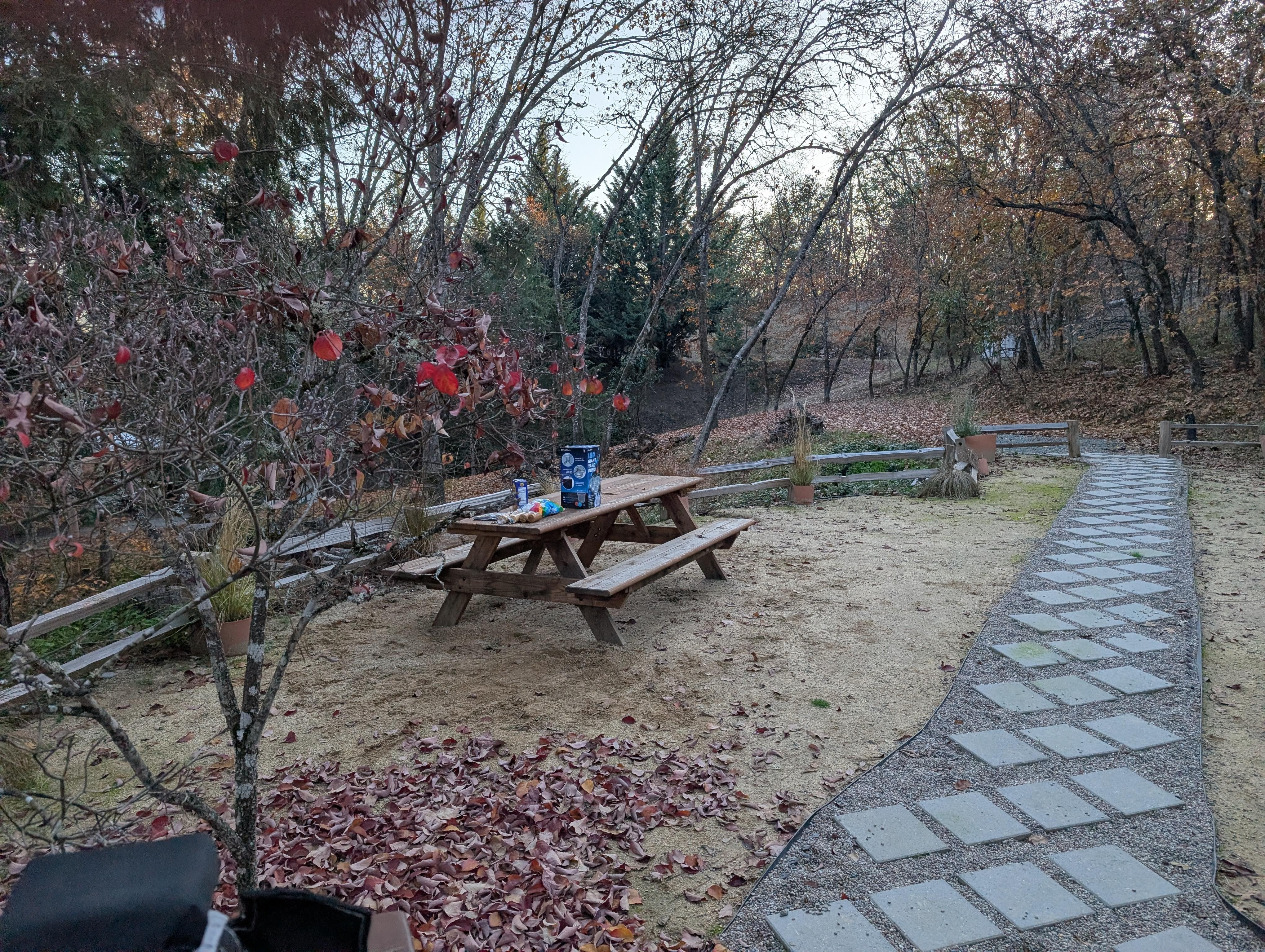 Perfect spot for food and games